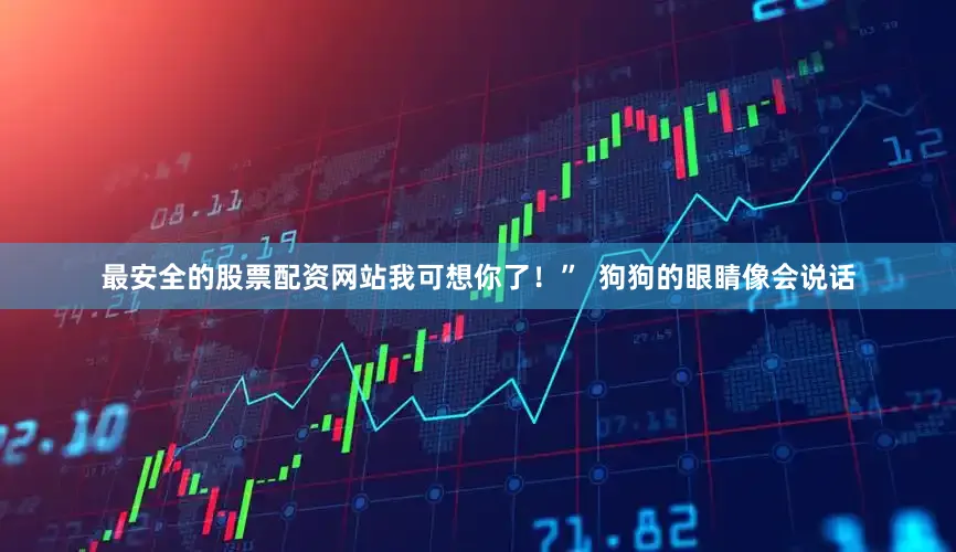最安全的股票配资网站我可想你了！”  狗狗的眼睛像会说话