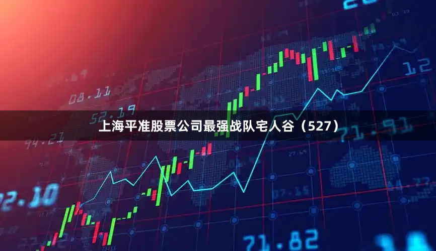 上海平准股票公司最强战队宅人谷（527）